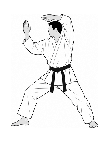 2 - kaishu haiwan-uke
