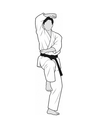 11c - chudan osae-uke