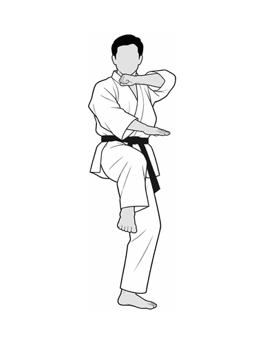 11b - mae-geri-arm