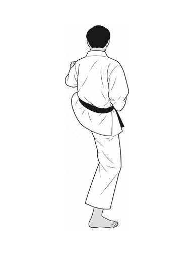 16a - mae-geri